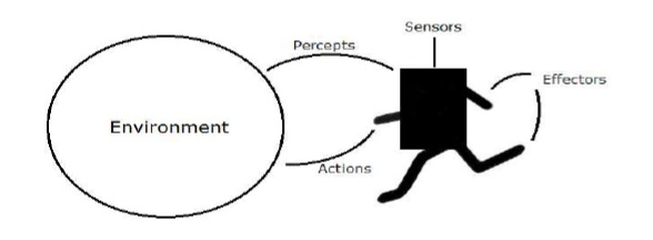 Properties of Environment