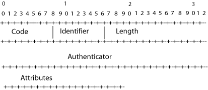 Radius Packet Format